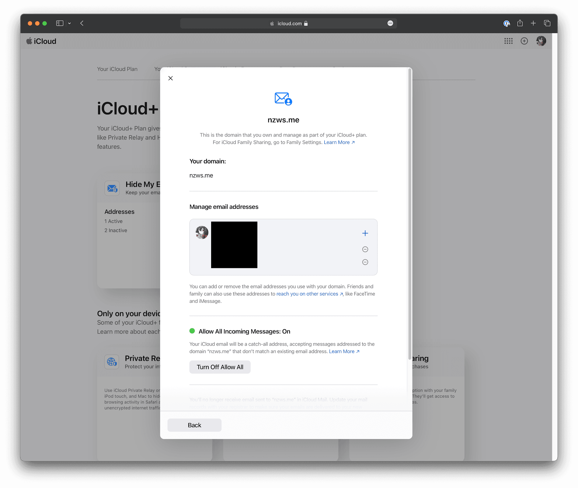 iCloud の独自ドメインメール設定画面