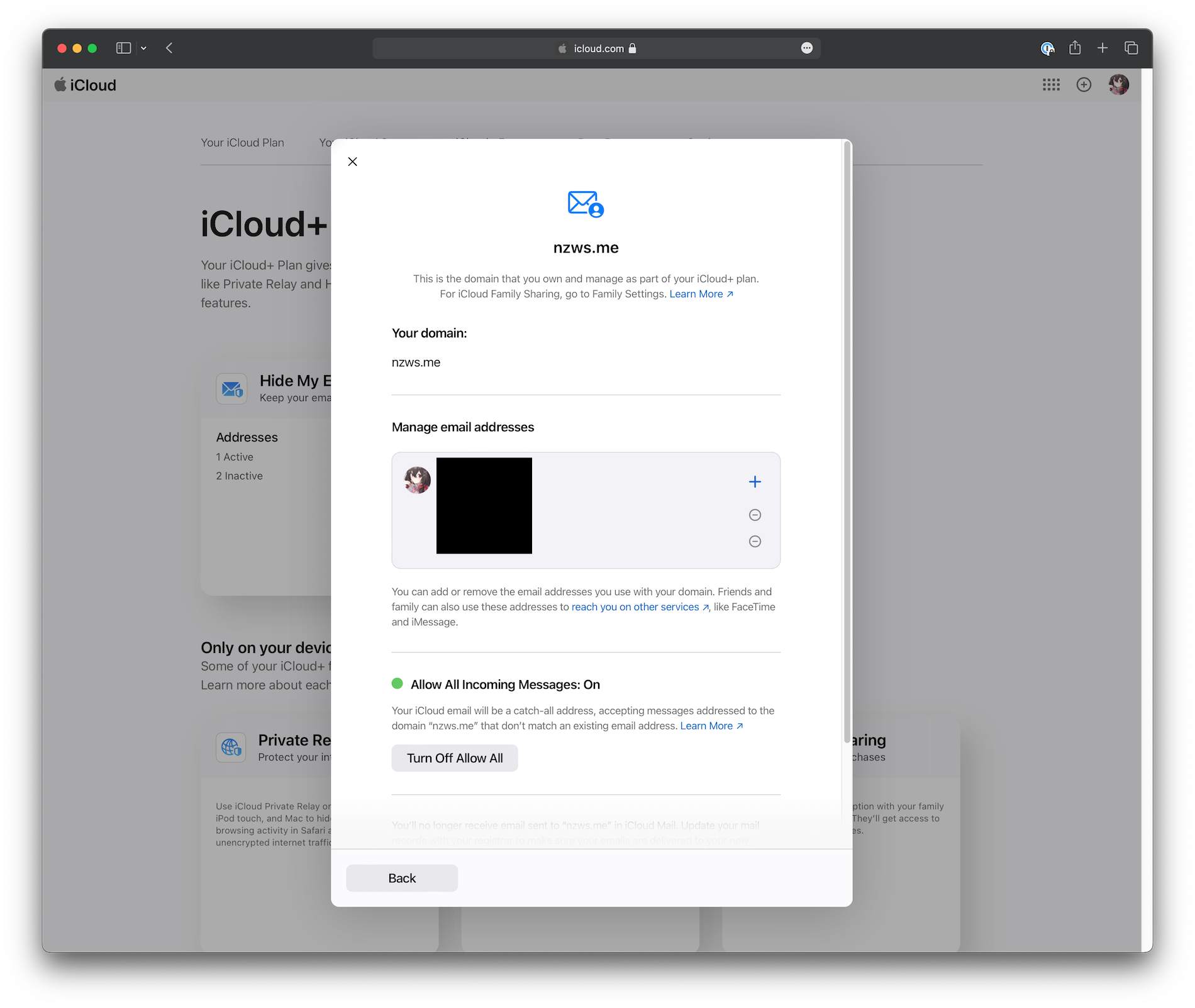 iCloud の独自ドメインメール設定画面